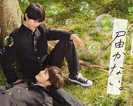 谷歌seo工资高吗